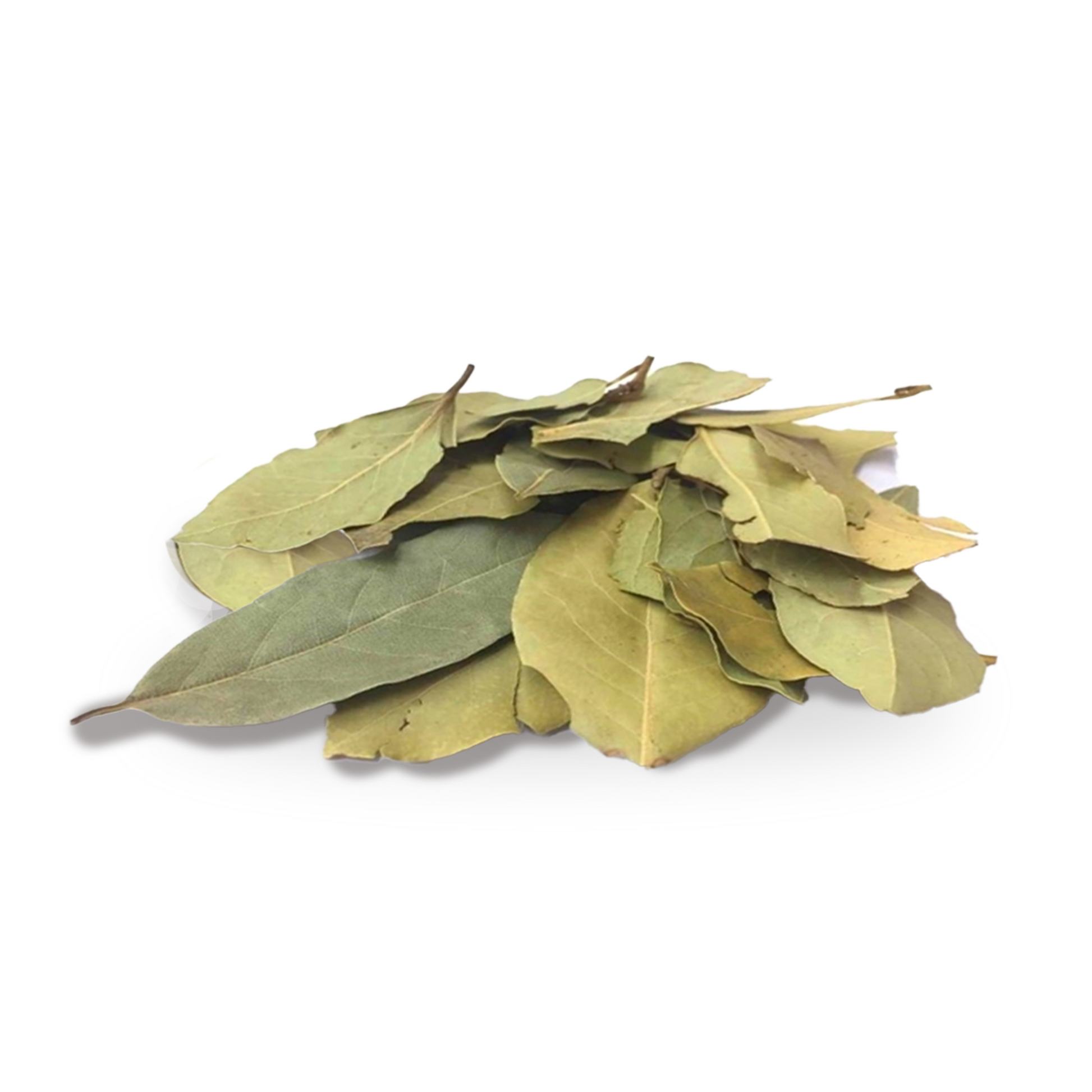 Bay Leaves - A Kilo of Spices