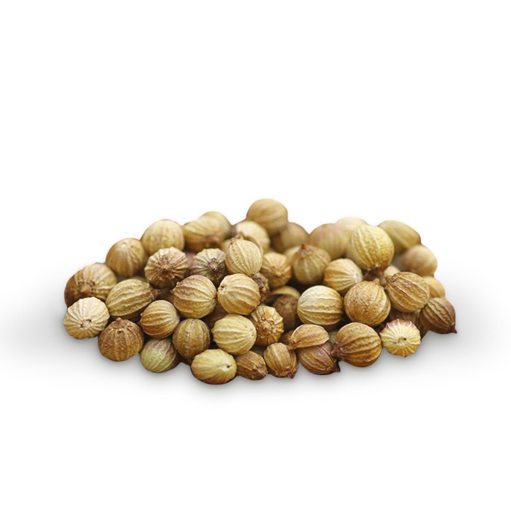 Coriander Seeds - A Kilo of Spices