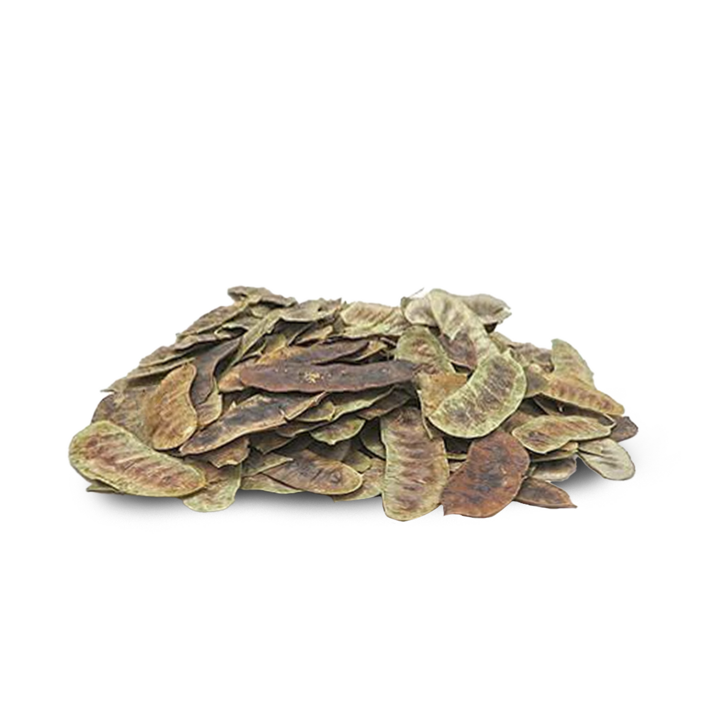 Senna Pods - A Kilo of Spices