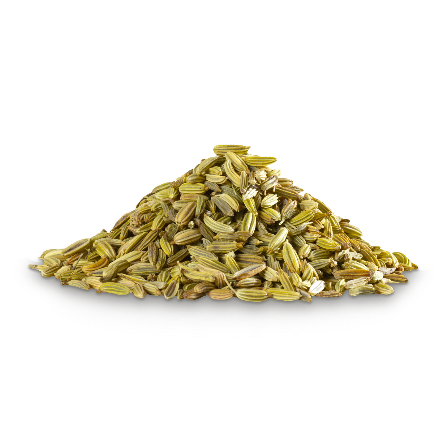 Fennel Seeds - A Kilo of Spices